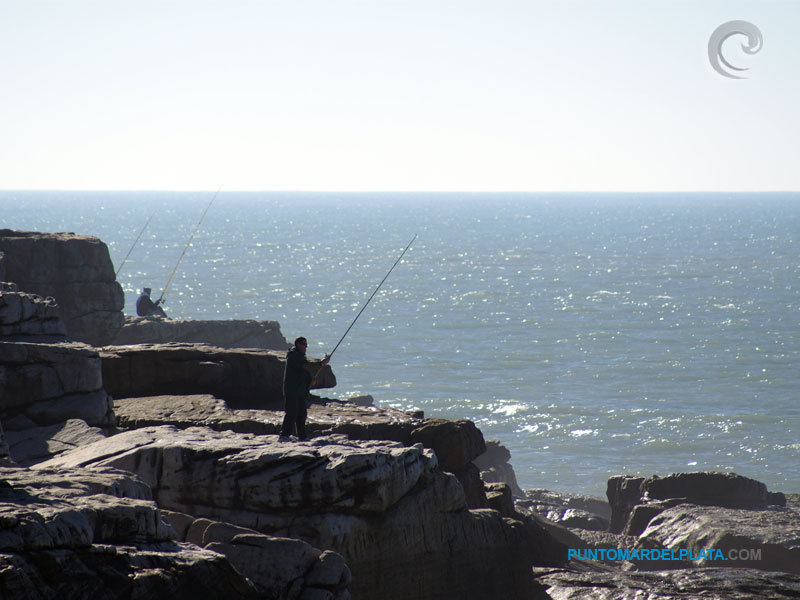 Pesca Deportiva y Embarcado en Mar del Plata