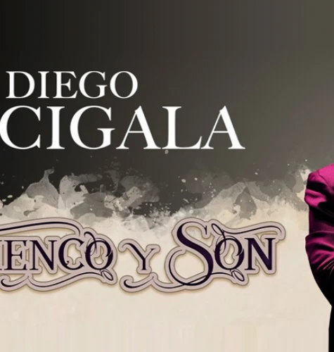 Cine y Teatro. Se presenta Diego El Cigala | Punto Mar del Plata