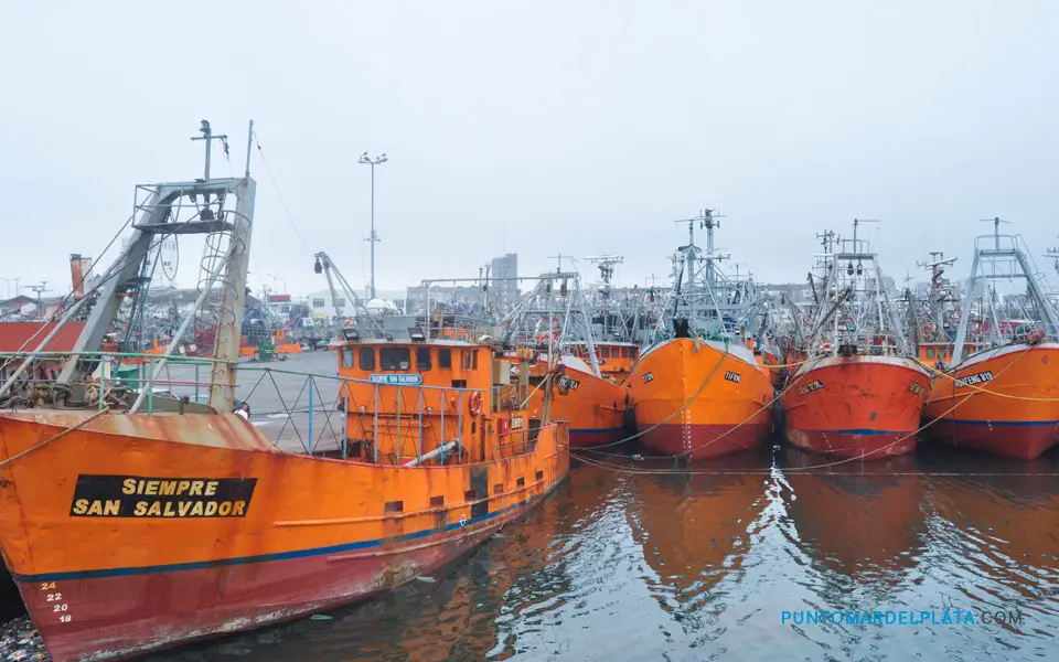 Típicas lanchitas amarillas