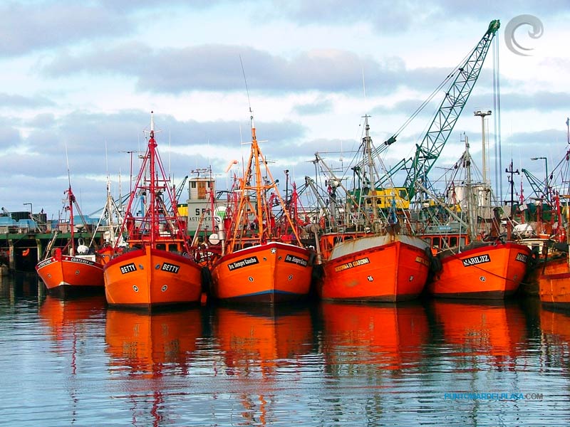 Puerto de Mar de Plata en Mar del Plata
