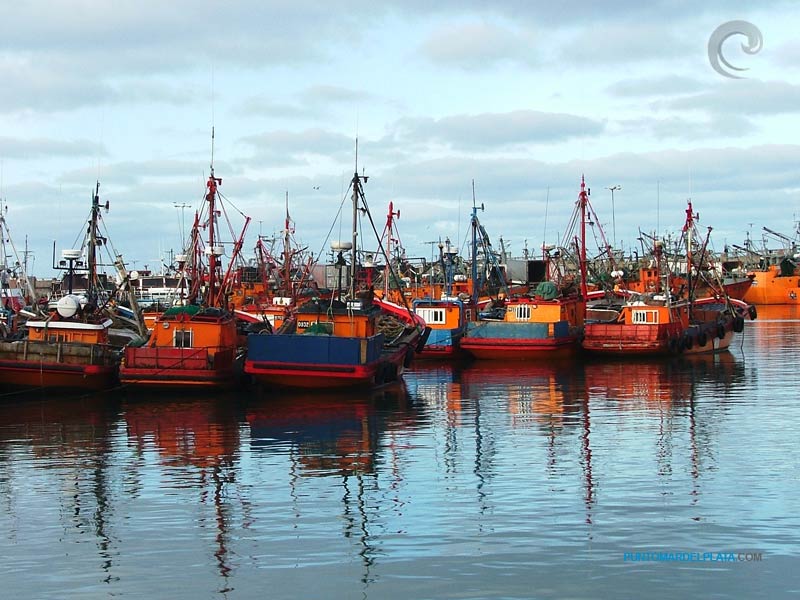 Puerto de Mar de Plata en Mar del Plata