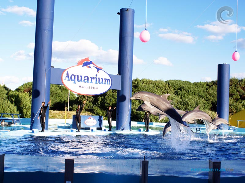 Parques Temáticos en Mar del Plata