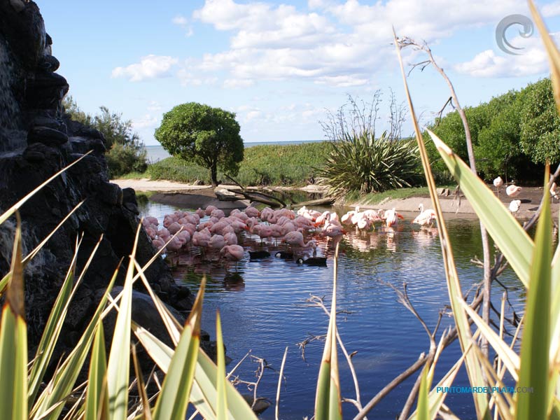 Parques Temáticos en Mar del Plata