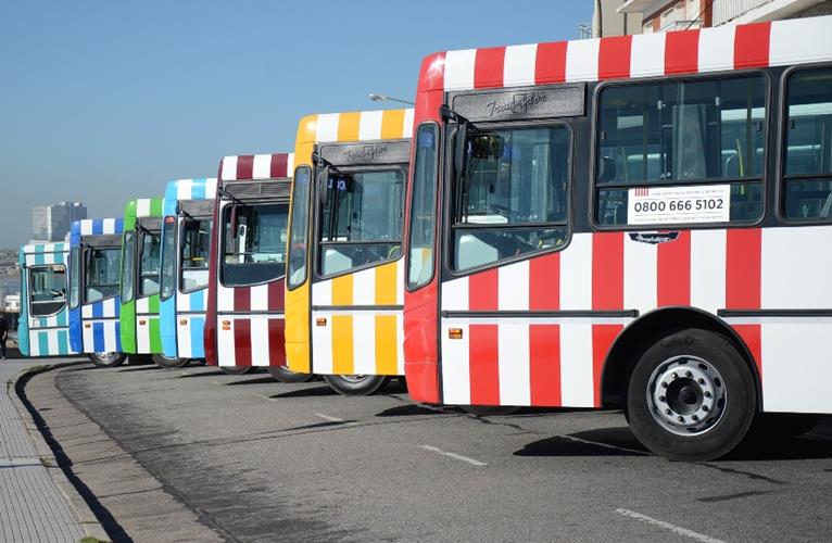 Nuevos colores identificatorios del Transporte Urbano | 