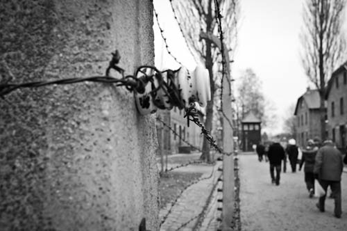 Inauguran muestras en el Auditorium | 