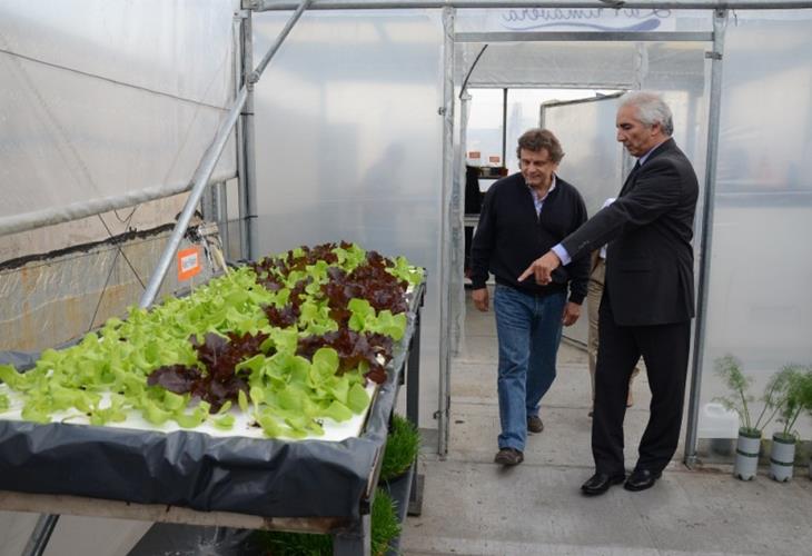 Planta de Producción Hidropónica | 