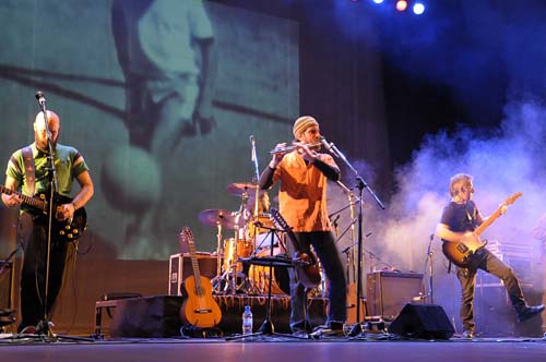 Arbolito en Mar del Plata | 