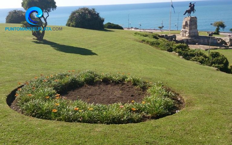 Reemplazan plantas de aloe vera por canteros para flores | 