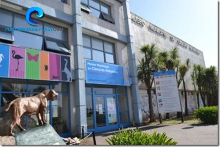 Talleres en distintos ámbitos locales | 