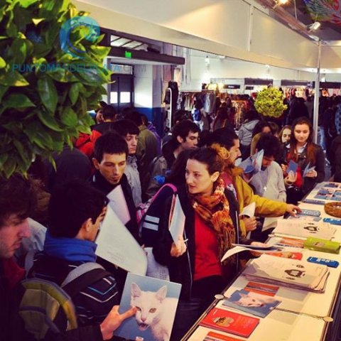 Local | Culminó TRImarchi DG