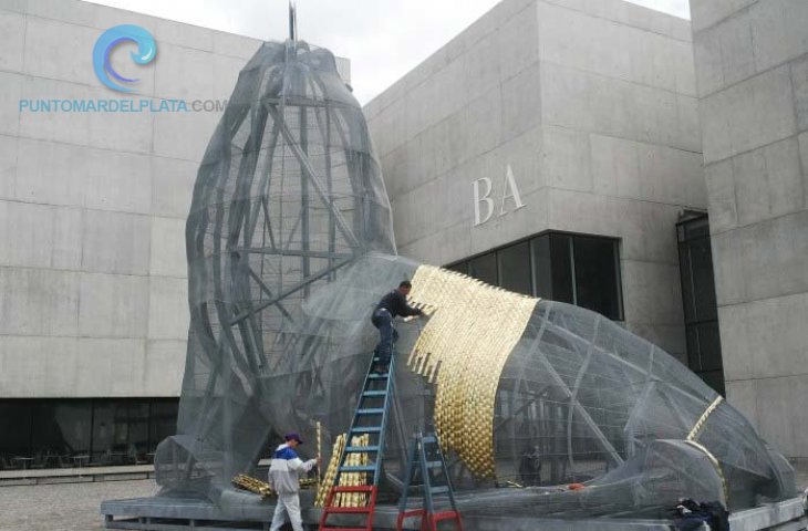 Culmina el cambio de piel de Lobo de Mar | 