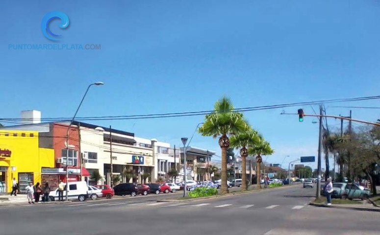 Cambios en el paisaje en la Avenida Constitución | 