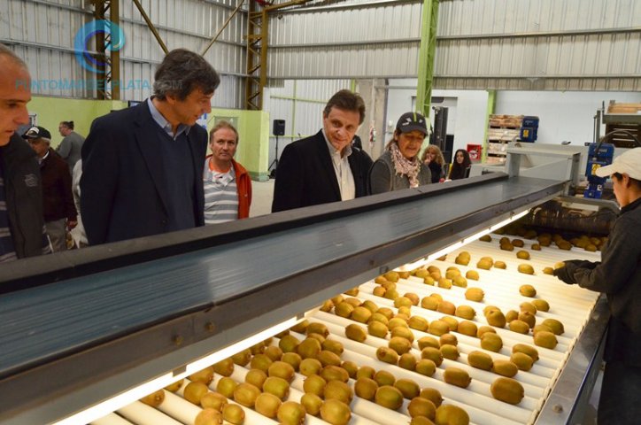 Se realizará la Primera Fiesta del Kiwi | 