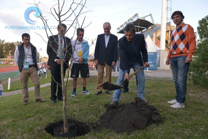 Concluyó el XX Mundial de Trasplantados | 
