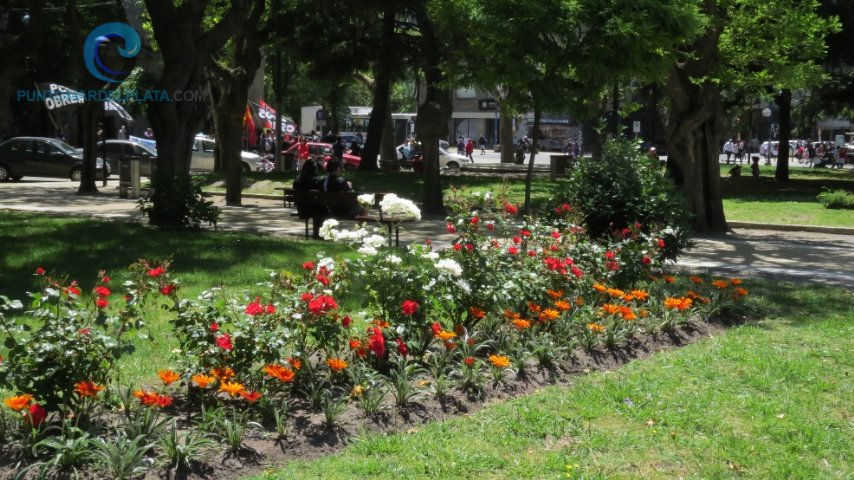 Puesta en valos de la Plaza San Martín | 