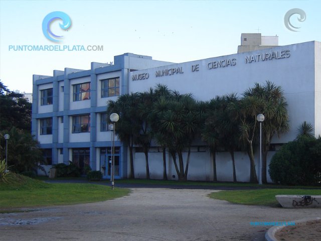 Protección al patrimonio paleontológico | 