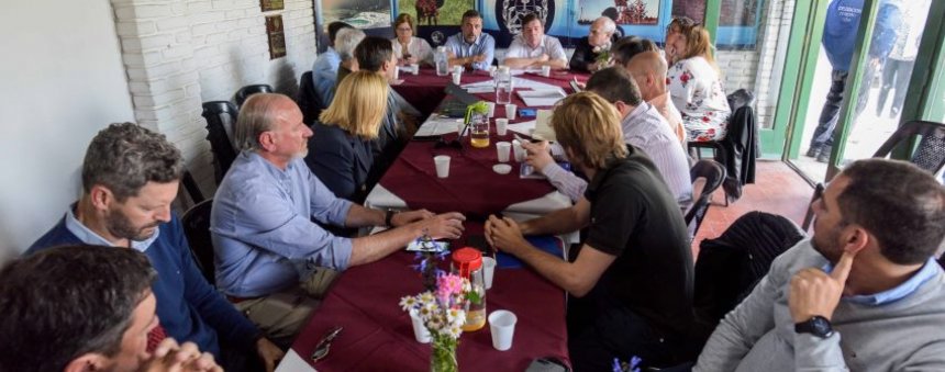 Pretenden prohibir la pirotecnia sonora en Mar del Plata | 