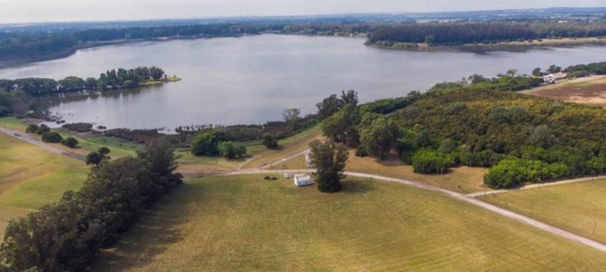 Centro para el cuidado de perros | 