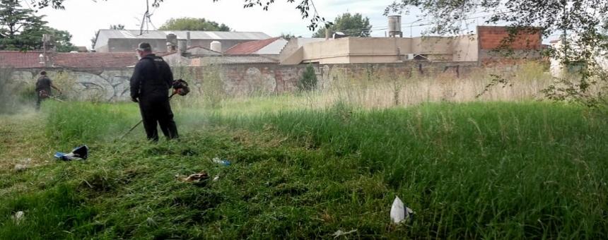 Programa Propietario Responsable | 