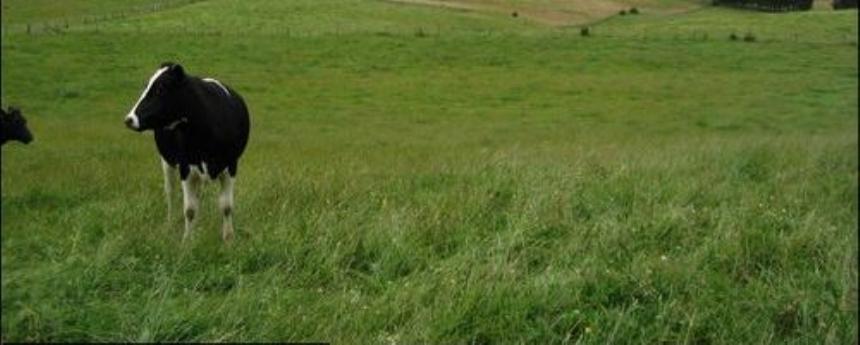 Prácticas agrícolas con bajo impacto ambiental | 