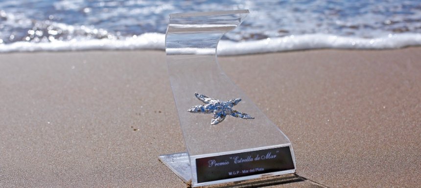 Se conocieron los nominados al Estrella de Mar 2021 | 